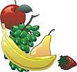 Fruit council: read more
