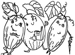 Melons from series Funny Fruits