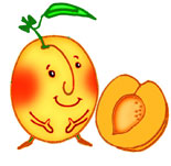 Nursery Rhyme Apricot